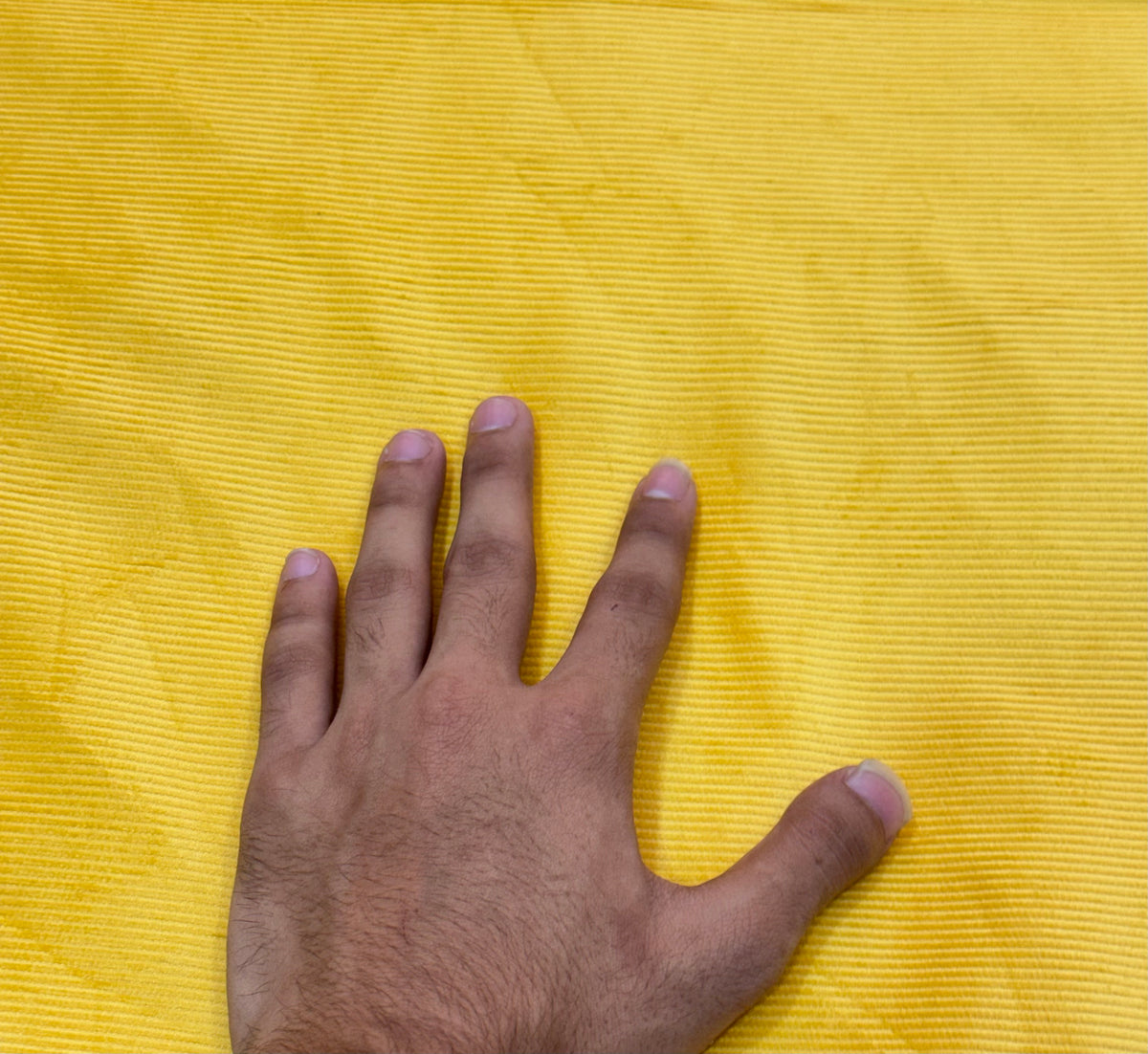 Buy Premium Corduroy Yellow 21 Wales