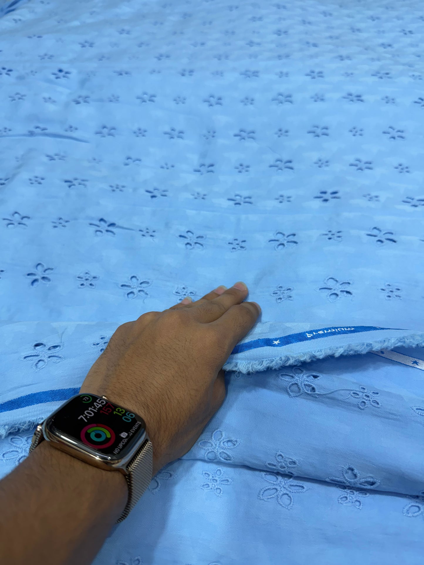 Buy Cotton Hakoba Dust  Blue Leafy Joined Flower Embroidery Fabric