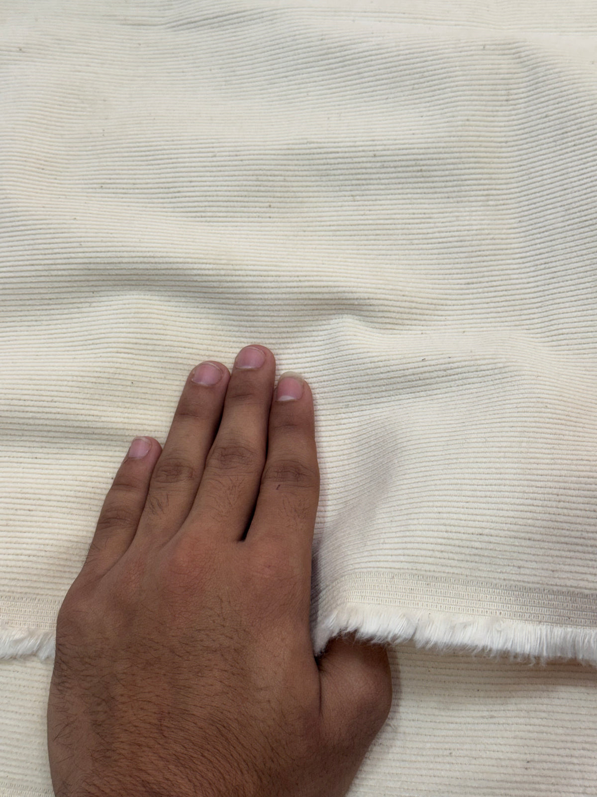 Buy Premium Corduroy Ivory  21 Wales