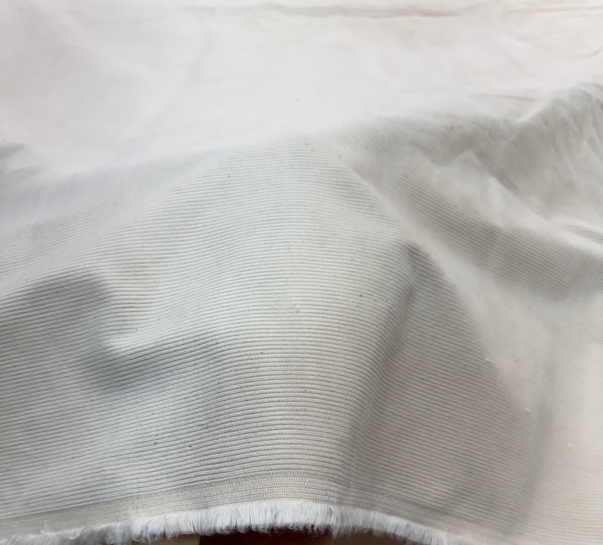 Buy Premium Corduroy Ivory  21 Wales